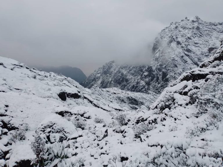 Climbing Mount Stanley Margherita Peak Rwenzori Expeditions