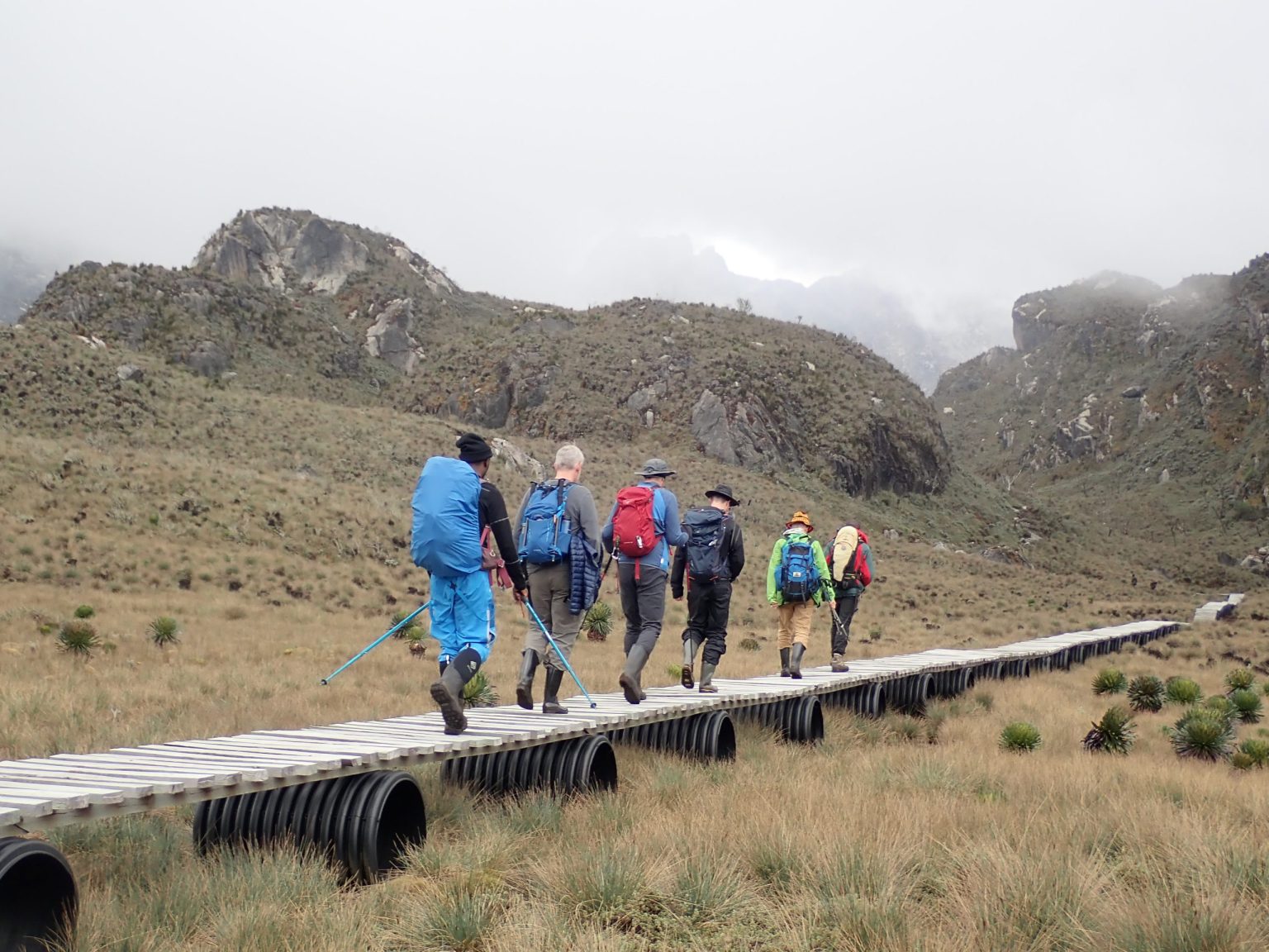 2 Days Rwenzori Trek - Nature walk | Rwenzori Expeditions