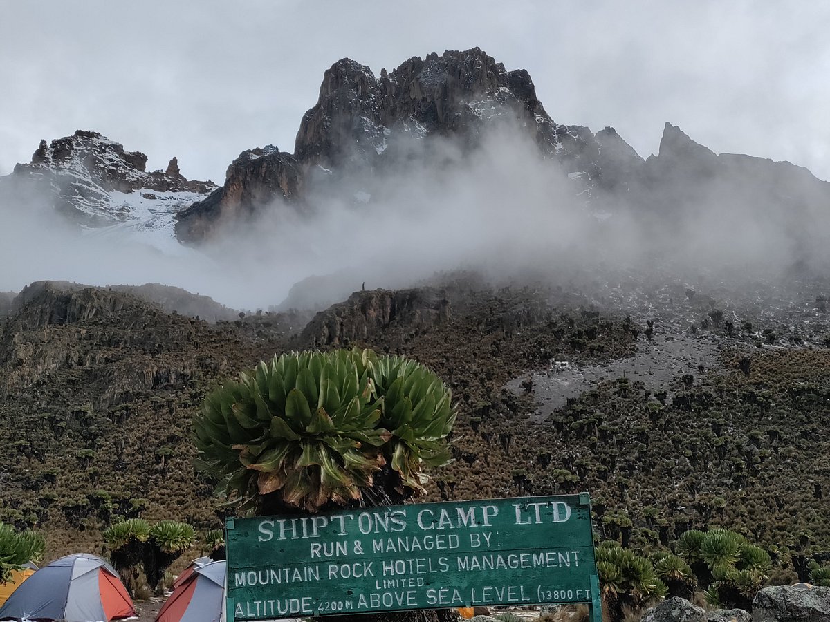 Mount Kenya | Rwenzori Expeditions