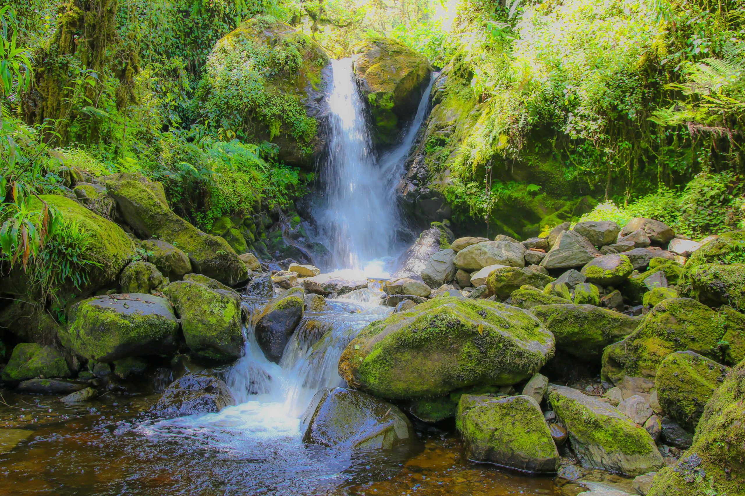 Rwenzori Mountaineering Tour