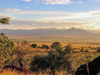 Wildlife watching in Uganda